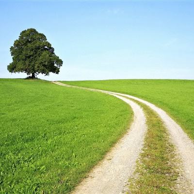 365体育亚洲官方入口app下载